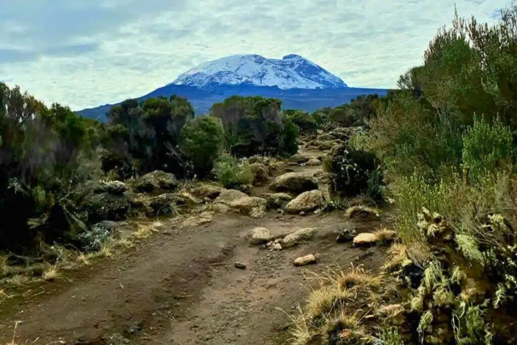 Kilimanjaro Cost: How Much Does It Cost to Climb Kilimanjaro?