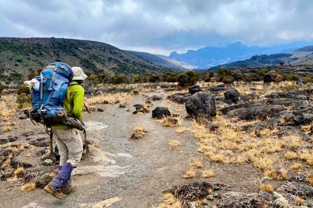 Best Time of Year to Climb Kilimanjaro: When to Go for the Best Weather & Summit Success
