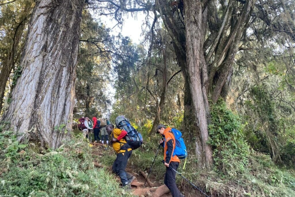 Kilimanjaro Travel Insurance: Why You Need It & What to Cover